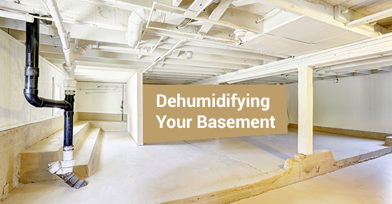 Dehumidifying Your Basement