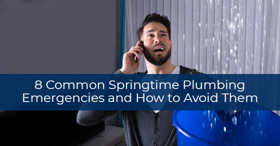 8 Common Springtime Plumbing Emergencies and How to Avoid Them