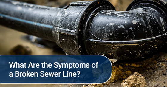 What Are the Symptoms of a Broken Sewer Line