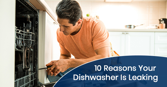 Reasons why your dishwasher is leaking