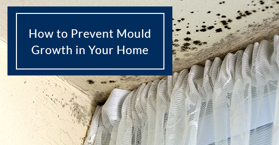How to prevent mould growth in your home