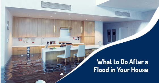 What to Do After a Flood in Your House