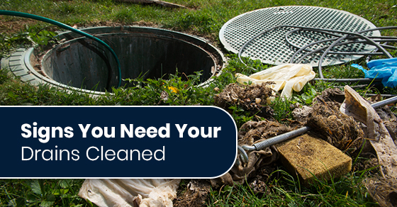 Signs You Need Your Drains Cleaned