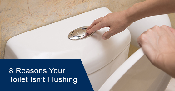 Why your toilet isn't flushing?