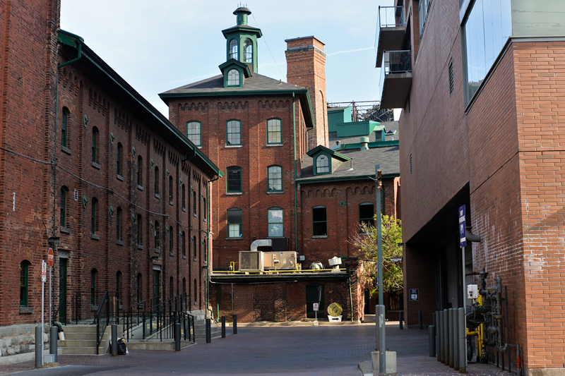 Professional plumber services Distillery District