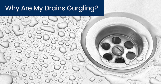 Why are my drains gurgling?