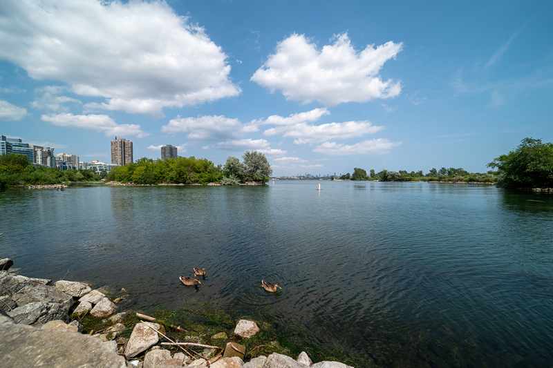 Professional plumber services Mimico