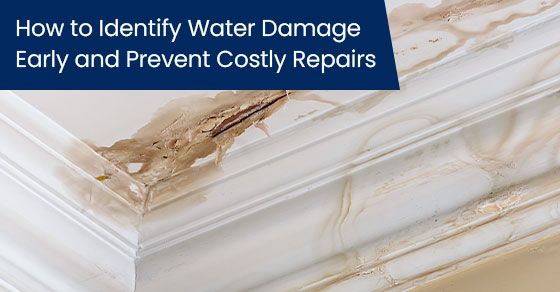 How to identify water damage early and prevent costly repairs