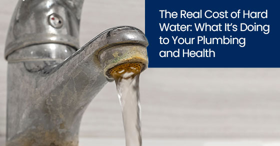 The real cost of hard water: What it’s doing to your plumbing and health