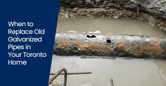 When to Replace Old Galvanized Pipes in Your Toronto Home