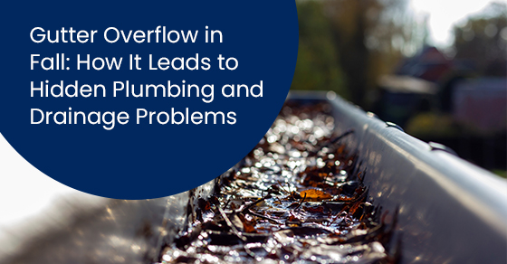 Gutter overflow in fall: How it leads to hidden plumbing and drainage problems